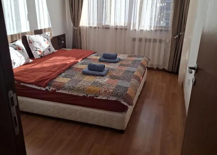 в Belvedere * バンスコ